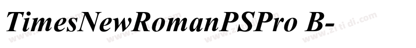 TimesNewRomanPSPro B字体转换